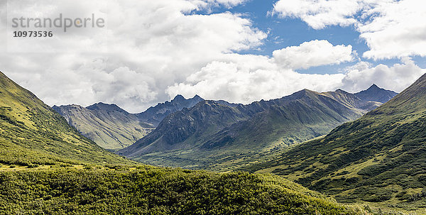 Aussicht auf die Talkeetna-Berge und das Mint Glacier Valley am Hatcher Pass  Süd-Zentral-Alaska  Sommer