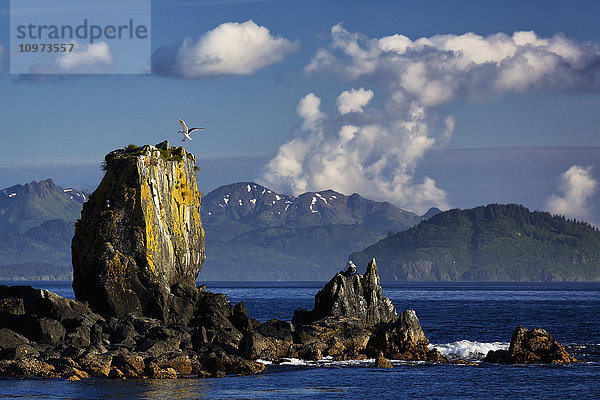 Landschaftliche Ansicht von Meeresstapeln entlang der Küste von Kodiak Island in der Nähe von Kodiak  Chiniak Bay  Südwest-Alaska  Sommer