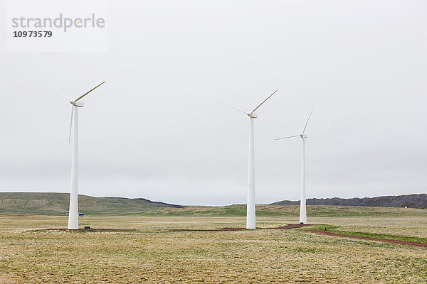 Windturbinen auf grüner Tundra  St. Paul Island  Südwest-Alaska  USA  Sommer'.