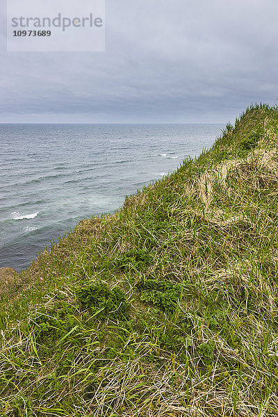 Tundra-Gräser auf einem Hügel an der Küste der Beringsee  St. Paul Island  Südwest-Alaska  USA  Sommer'.