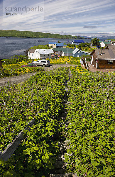 Wohnhäuser entlang der Küste  Sand Point  Südwest-Alaska  USA  Sommer'.