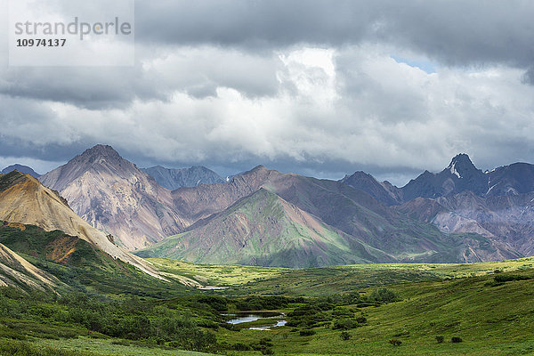 Panoramablick auf den Sable Pass und die Ausläufer der Alaska Range  Denali National Park  Inneres Alaska  Sommer