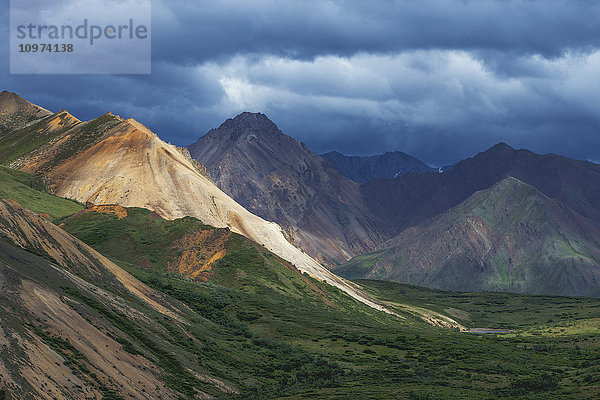 Aussicht auf den Sable Pass und die Ausläufer der Alaska Range  Denali-Nationalpark  Inner-Alaska  Sommer'.