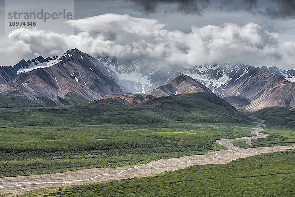 Aussicht auf den Polychrome Pass und die Alaska Range  Denali National Park and Preserve  Interior Alaska  Sommer'.