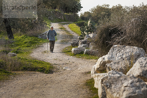 Älterer Mann  der auf einem unbefestigten Weg geht; Sabasita  Samaria  Israel'.