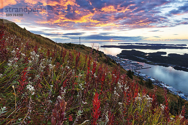 Herbstliche Aussicht auf Kodiak von einem bunten Hügel bei Sonnenuntergang  Südwest-Alaska