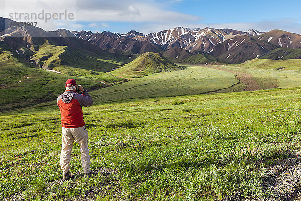 Blick auf einen älteren Mann in einer orangefarbenen Jacke  der die Alaska Range  den Grant Creek und die Ebene unterhalb des Highway Passes mit üppig grüner Tundra und blauem Himmel im Denali National Park and Preserve  Interior Alaska  am frühen Morgen im Sommer fotografiert.