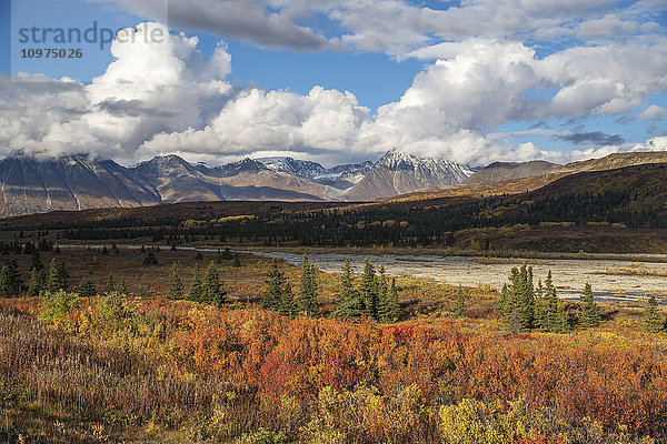 Herbstfarben entlang des Haines Highway  Alaska Highway  British Columbia  Nadahani Creek  Mt. Kelsall.