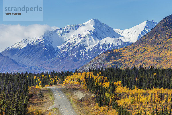 Blick auf den Alaska Highway mit den schneebedeckten Gipfeln des St. Elias-Gebirges und bunten Bäumen im Hintergrund  Yukon Territory  Kanada  Herbst