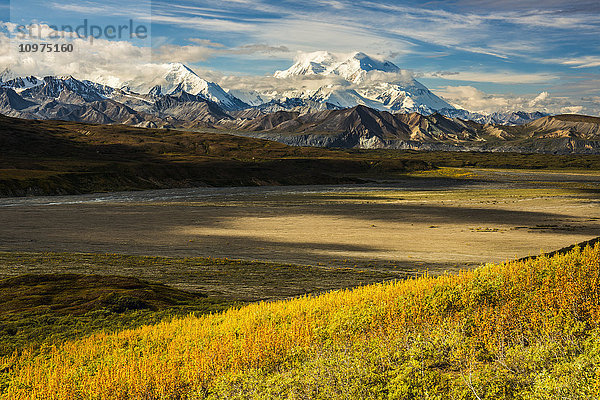 Panoramablick auf Denali und die Alaska Range  Denali National Park and Preserve  Interior Alaska