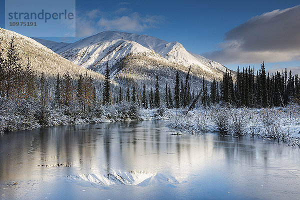 Dünnes Eis auf einem Teich nach einem Neuschnee in den Bergen der Brooks Range nördlich von Wiseman  Alaska.