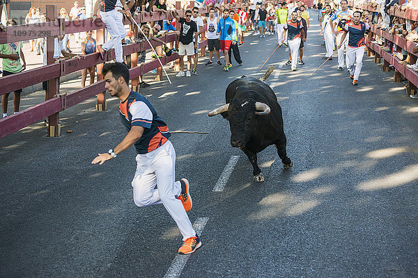 Festival in Alcala de Henares und Stierrennen; Madrid  Spanien'.