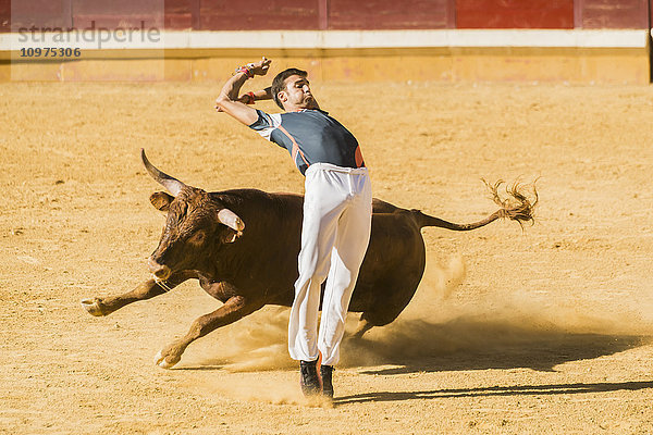 Festival in Alcala de Henares und die Stierkampfarena; Madrid  Spanien'.