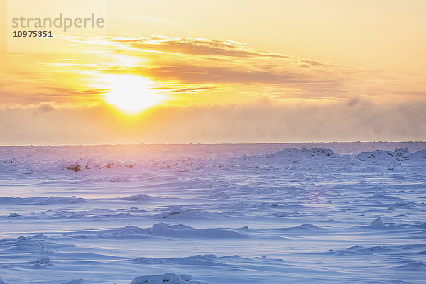 Schneeverwehungen auf dem Meereis des Arktischen Ozeans bei Sonnenuntergang  North Slope  Barrow  Arktisches Alaska  Winter