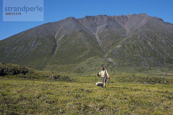 Mann geht mit seinem Hund im Arctic National Wildlife Refuge spazieren  Sommer  Alaska