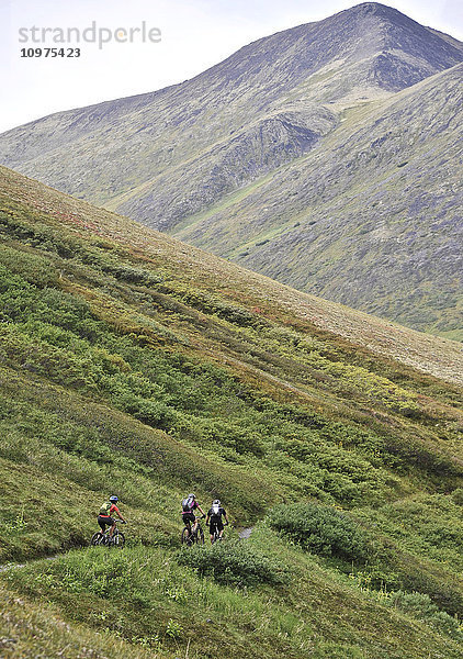 Mountainbiker auf dem Devils Pass Trail im Chugach National Forest  Kenai Peninsula  Southcentral Alaska