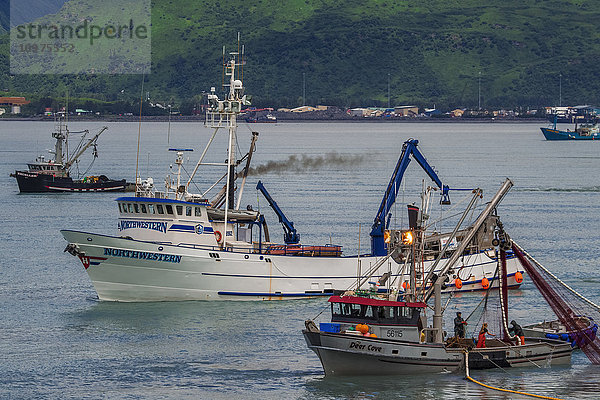 Kommerzielle Fischerboote in Port Valdez  Southcentral Alaska  Sommer