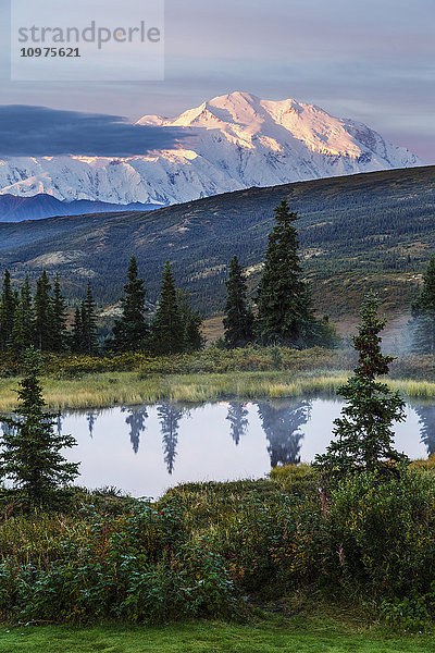 Blick auf den Denali bei Sonnenaufgang mit einem Tundra-Teich im Vordergrund  Denali National Park  Inneres Alaska  Herbst