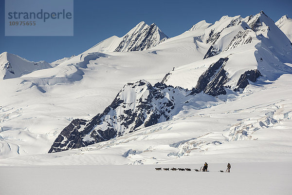 Sommertouristen auf Hundeschlittentour auf dem Colony Glacier in den Chugach Mountains  Süd-Zentral-Alaska  Sommer