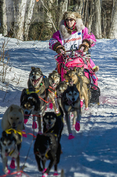 DeeDee Jonrowe und ihr Team laufen den Trail am Long Lake hinunter  kurz nachdem sie den Neustart in Willow  Alaska  während des Iditarod 2016 verlassen haben.