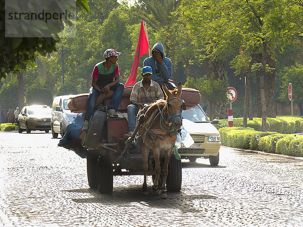 Männer fahren auf einem Pferdewagen neben Autos die Straße hinunter; Marrakesch  Marokko'.