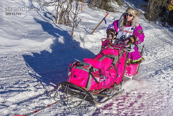 DeeDee Jonrowe und ihr Team laufen den Trail am Long Lake hinunter  kurz nachdem sie den Neustart in Willow  Alaska  während des Iditarod 2016 verlassen haben.