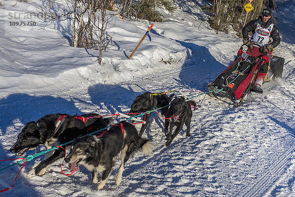 Lance Mackey und sein Team laufen den Trail am Long Lake hinunter  kurz nachdem sie den Neustart in Willow  Alaska  während des Iditarod 2016 verlassen haben.