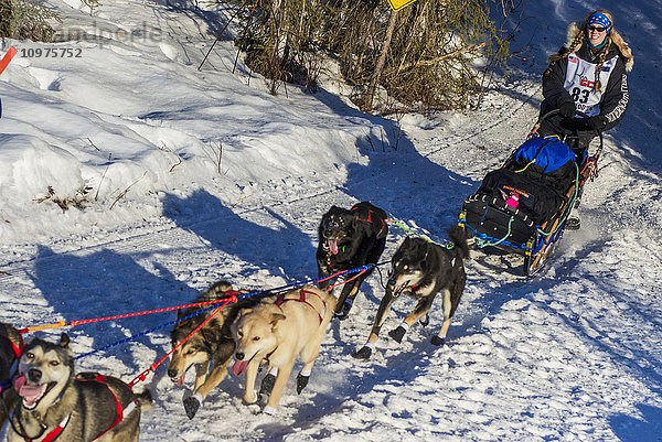Kristy Berington und ihr Team laufen den Trail am Long Lake hinunter  kurz nachdem sie den Neustart in Willow  Alaska  während des Iditarod 2016 verlassen haben.