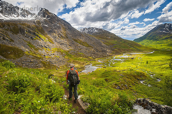 Mann wandert auf dem Reed Lakes Trail im Archangel Valley  Talkeetna Mountains  Southcentral Alaska  Sommer