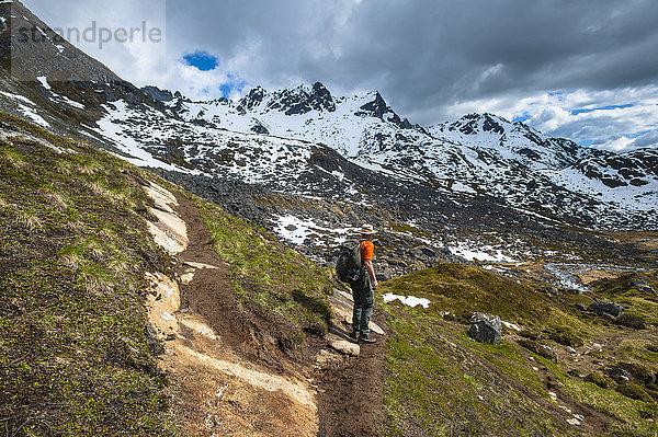 Mann wandert auf dem Reed Lakes Trail im Archangel Valley  Talkeetna Mountains  Southcentral Alaska  Sommer