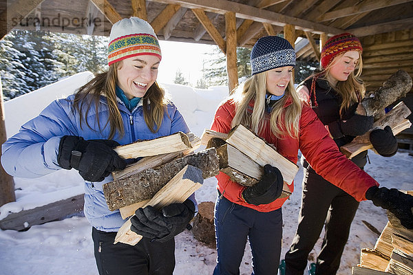 Drei junge Frauen sammeln und stapeln im Winter in der Nähe von Homer  Alaska  gehacktes Holz.