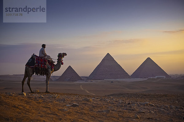 Ein einsames Kamel und sein Reiter stehen vor der untergehenden Sonne mit den großen Pyramiden im Hintergrund; Gizeh  Ägypten'.