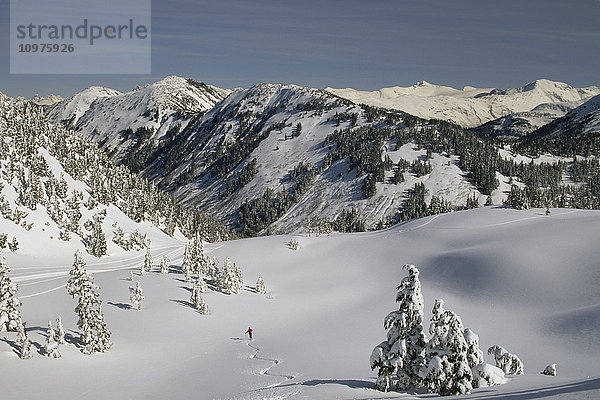 Eaglecrest Skigebiet Juneau Abfahrtskifahren Pulverschnee Ak Südost Winterlandschaft Schnee