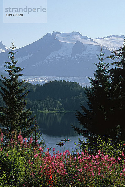 Kajakfahrer Auke Lake Mendenhall Glacier Juneau Ak Coast Mtns Fireweed Southeast Summer