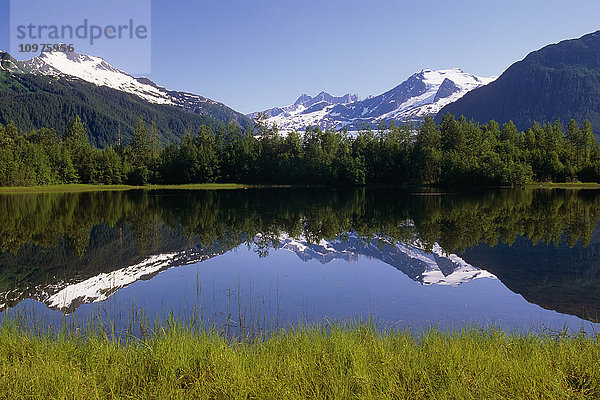 Mendenhall Gletscher & Elchsee Se Alaska Sommer