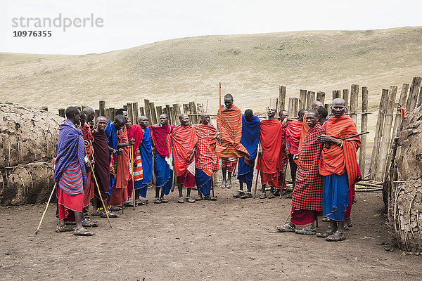 Massai-Krieger in farbenfroher Kleidung bei der Aufführung eines traditionellen Tanzes  Ngorongoro Conservation Area  Tansania.