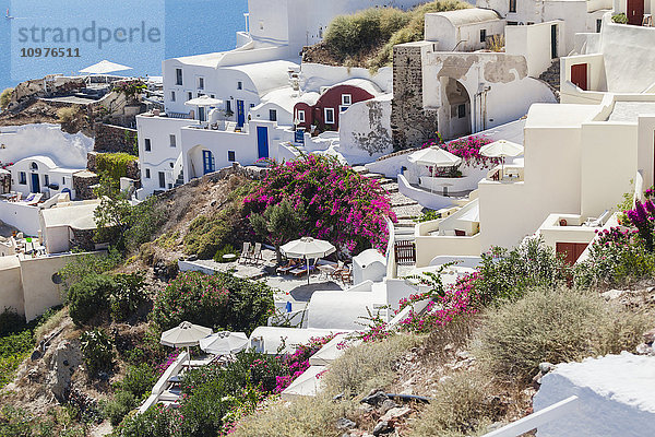 Blick auf die Villen und Gärten des Dorfes Oia am Hang; Oia  Santorin  Kykladen  Griechenland'.