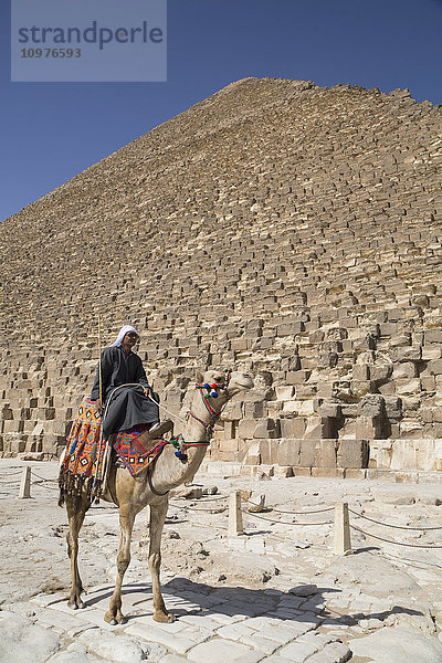 Einheimischer auf seinem Kamel  Große Cheops-Pyramide im Hintergrund  Die Pyramiden von Gizeh; Gizeh  Ägypten'.