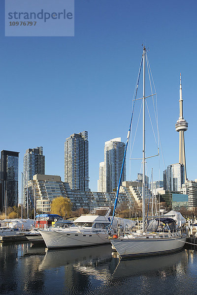 Hafen und Skyline von Toronto; Toronto  Ontario  Kanada'.