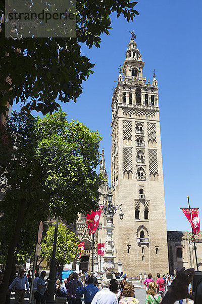 Der Glockenturm der Giralda  Teil der Kathedrale von Sevilla; Sevilla  Spanien'.