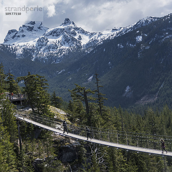 Fußgängerbrücke zum Aussichtspunkt über die Coast Mountains; Squamish  British Columbia  Kanada'.