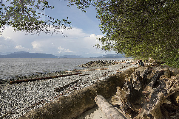 Strand entlang des Foreshore Trail; Vancouver  British Columbia  Kanada'.
