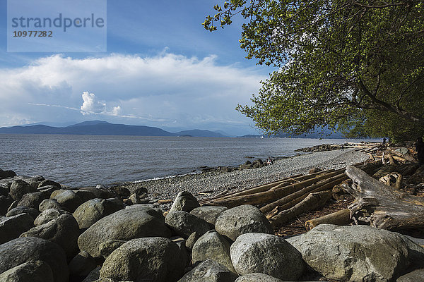 Wreck Beach entlang des Foreshore Trail; Vancouver  British Columbia  Kanada'.
