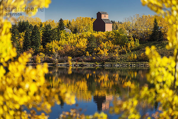 Hölzerner Getreidesilo umgeben von bunten Bäumen im Herbst  die sich in einem See mit blauem Himmel spiegeln; Calgary  Alberta  Kanada'.