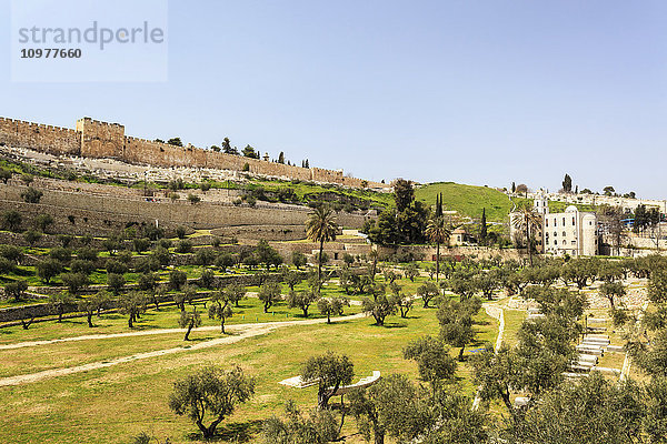 Osttor und die alten Stadtmauern von Jerusalem  Kidrontal; Jerusalem  Israel'.