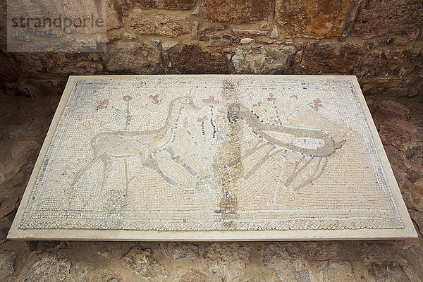 Mosaikboden aus der Synagoge von Na'aran; Israel'.