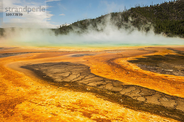 Dampf steigt aus der Grand Prismatic Spring im Yellowstone National Park auf; Wyoming  Vereinigte Staaten von Amerika'.