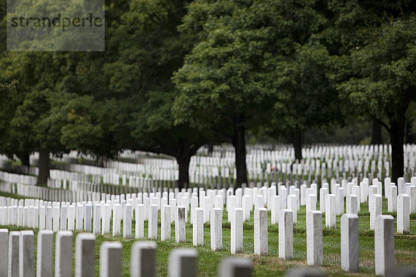 Grabsteine auf dem Arlington National Cemetery. Arlington  Va  Usa.