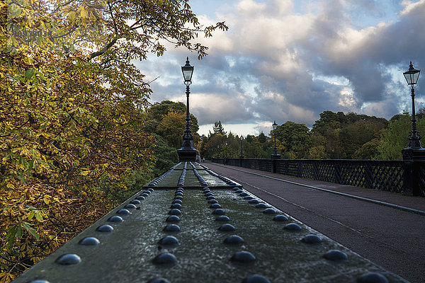 Laternenpfähle entlang einer Straße im Herbst; Newcastle  Tyne and Wear  England'.