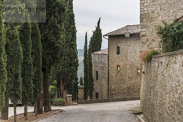 Gebäude mit Steinmauern und Bäumen entlang einer Straße; Gaiole in Chianti  Toskana  Italien'.